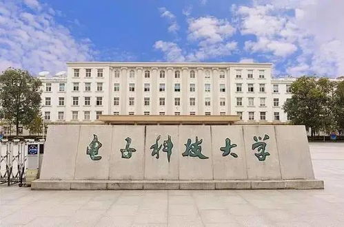 四川42所高校開學！計算機領域如何搶占技術開發新浪潮？
